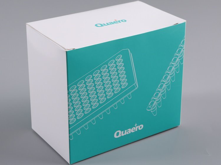 Disposable PCR Plates 0.2ml 96 Well PCR Plate with Semi Skirt