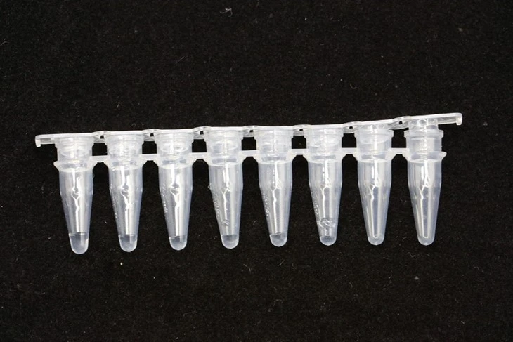 8 Well Strip Tubes