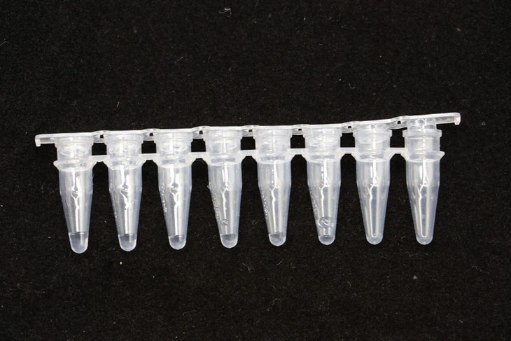Reaction Strip Tubes Plate