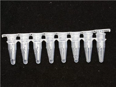 Pcr Reaction Tube
