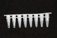 Qpcr Strips